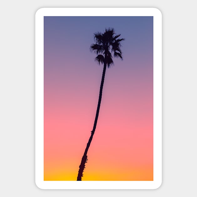 Sunset Palm Tree. Sticker by NewburyBoutique